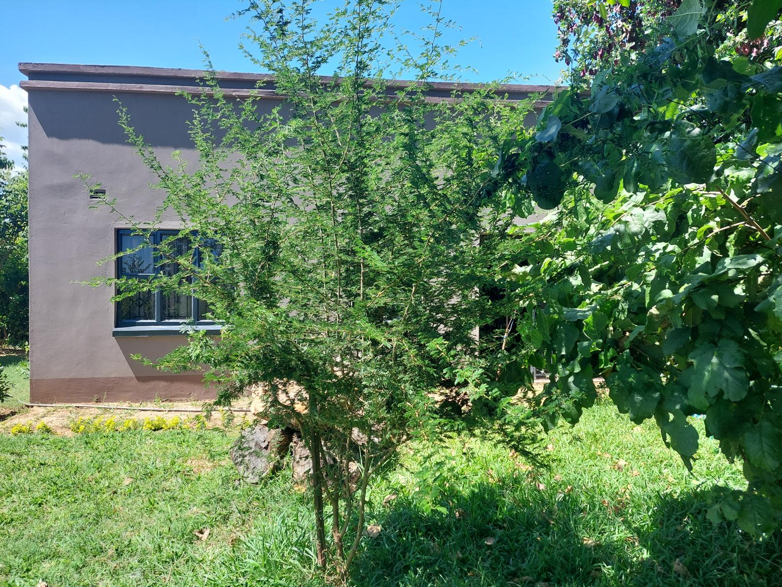Lodge grounds
